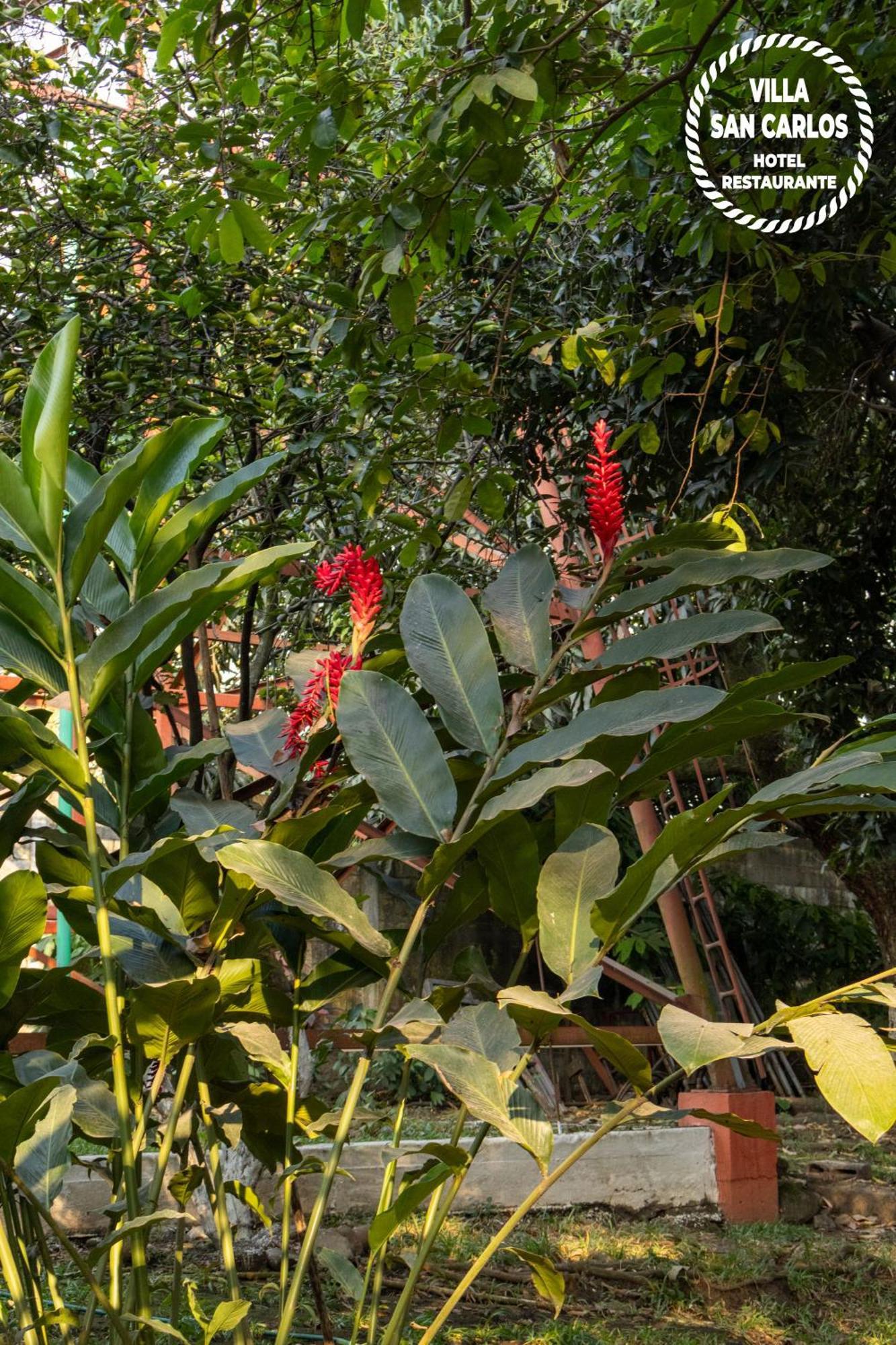 Villa San Carlos Retalhuleu Buitenkant foto